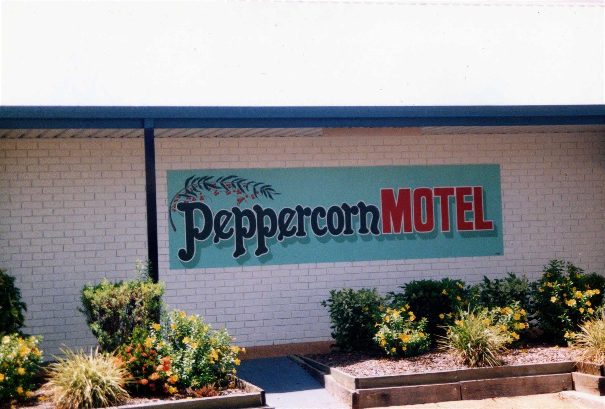 Peppercorn Motel Clermont ภายนอก รูปภาพ